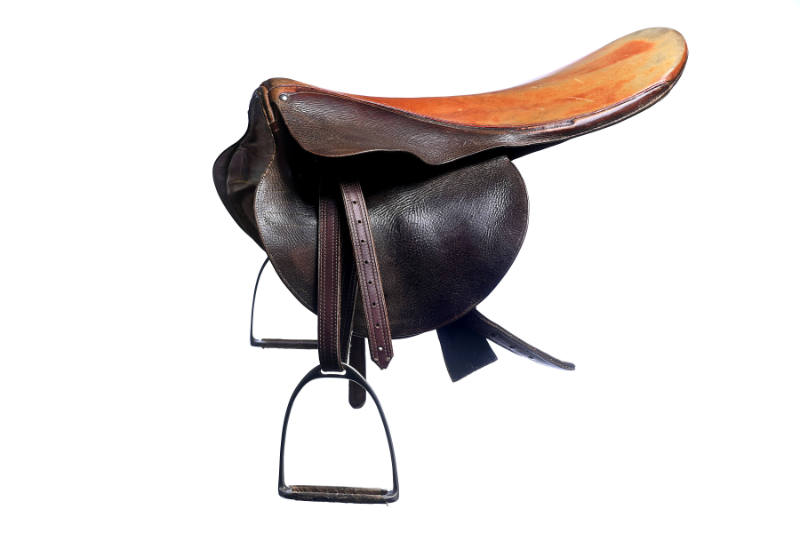 Secretariat's Saddle